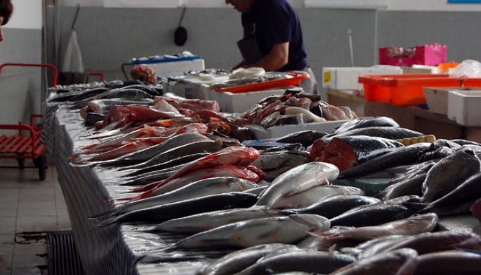 Mana Lebih Sehat, Ikan Laut atau Tawar?