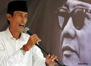 DPC Mantap Usung Afifah, Fungsionaris PDIP: Ini Bukan Indonesian Idol Bung!