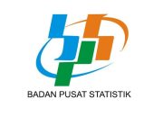 Sensus Penduduk BPS Online Sebaiknya Diperpanjang