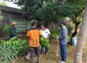 Antisipasi Bencana Longsor di Tebing Kali, Warga Depok Tanam Pohon Ini