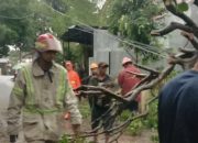 Pohon Tumbang dan Angin Puting Beliung, Rumah Warga Depok Hancur