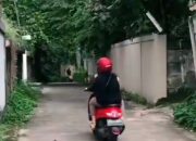 Viral Video TikTok di Depok, Jalan Buntu yang Berujung Kuburan