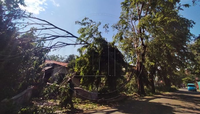 Pemkot Depok Percepat Verifikasi Data Rumah Warga yang Rusak Akibat Puting Beliung