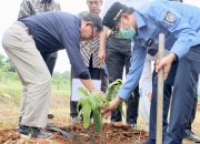 Dukung Depok sebagai Kota Hijau dan Kota Biru, UIII Tanam 500 Bibit Pohon