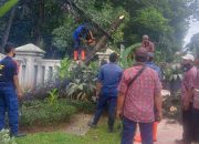 Angin Kencang, Damkar Depok Evakuasi Pohon Tumbang