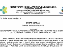 Kemenkes Terbitkan Edaran Terhadap Penemuan Kasus Hepatitis Akut