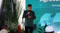 Wapres Maruf Amin Apresiasi Kemajuan Sektor Pertanian Indonesia