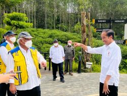 Tinjau Pembangunan Infrastruktur IKN, Presiden Jokowi: Progres yang Baik