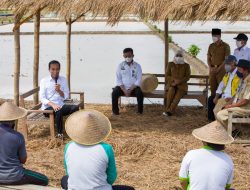 Jokowi dan Syahrul Sudah Lama Bekerja Sama Hingga Terjalin Persahabatan