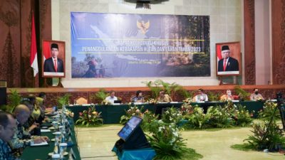 Tahun 2023 Berpotensi Kemarau Panjang, BNPB Siapkan Strategi Pencegahan Karhutla