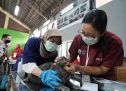 Peringatan World Rabies Day 2023, Ratusan Ekor Hewan Peliharaan Divaksinasi