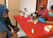 Ratusan Hewan Peliharaan di Kecamatan Cinere Divaksinasi Rabies 