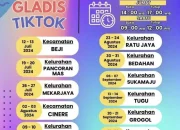 Catat! Jadwal Layanan Gladis Tiktok di 11 Kecamatan