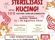 Catat Tanggalnya! DKP3 Depok Adakan Sterilisasi Kucing Domestik Gratis