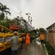 Hujan Angin, DLHK Depok Imbau Warga Jauhi Pohon Besar